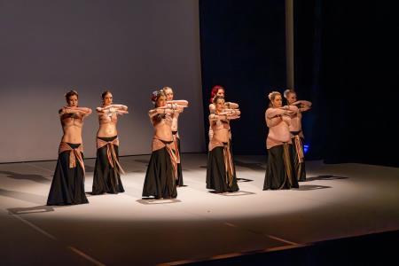 Območna revija plesnih skupin Finesa plesa 2024 (24)